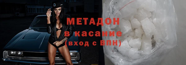 стаф Алзамай