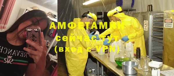 стаф Алзамай