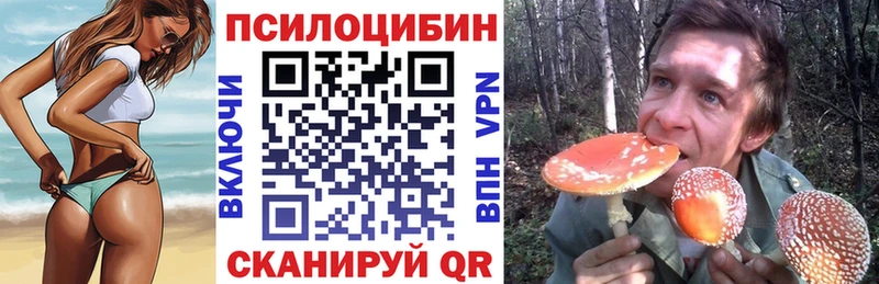 Галлюциногенные грибы Cubensis сколько стоит Шуя